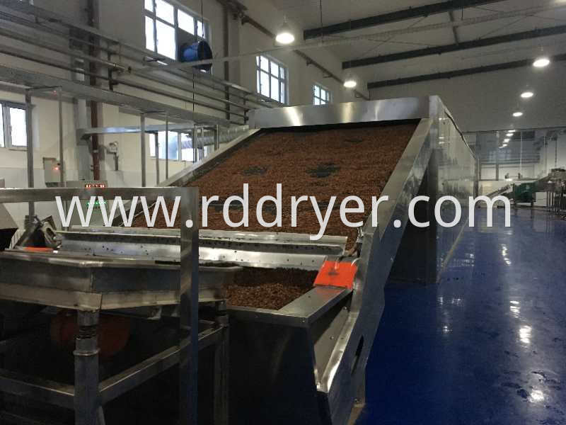 raisins drying machine